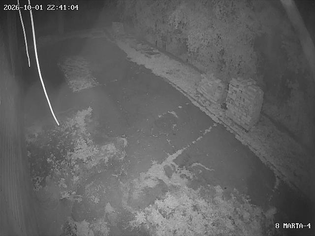 Live camera in Kamianske